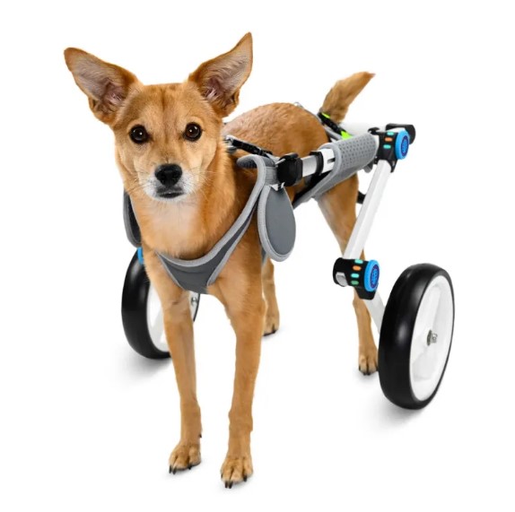  - Fordable Dog Wheelchairs For Dog Back Legs