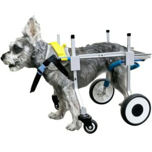  - Dogs Wheelchairs - Best Dogs Wheelchairs Suppliers & manufacturers in China
