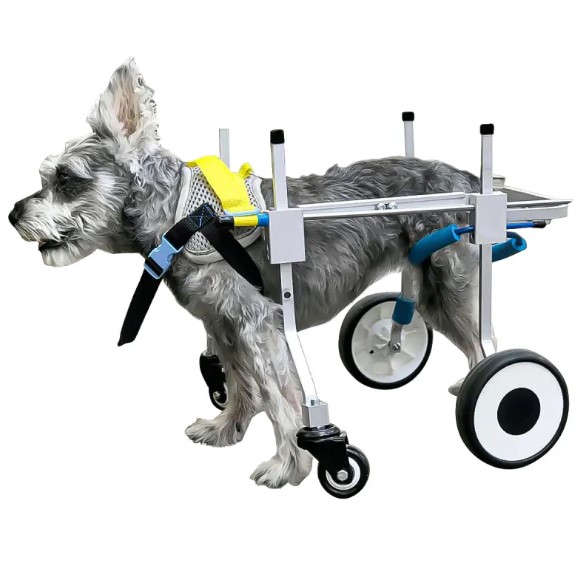  - Dog Wheelchairs for Dog Leg Paralyzed Weakness