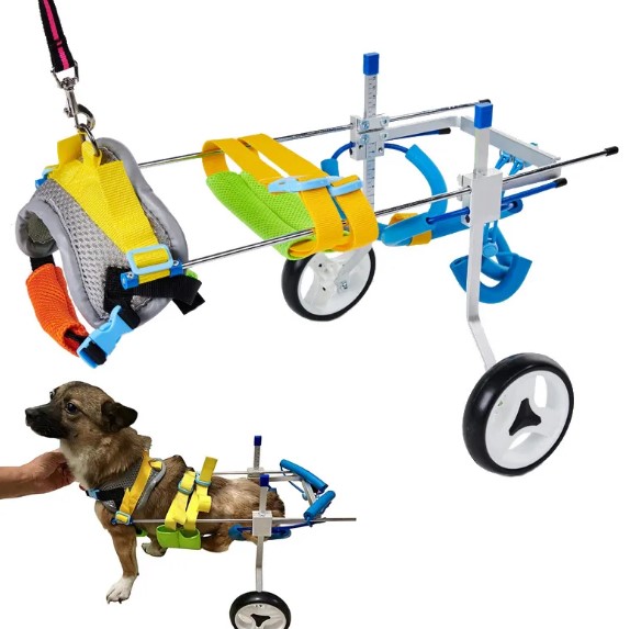  - Adjustable Dog Wheelchairs for Back Legs Paralyzed Dog