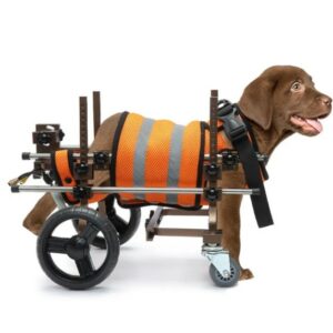  - Dog Wheelchairs for Dog Hind Legs Weak Paralyzed