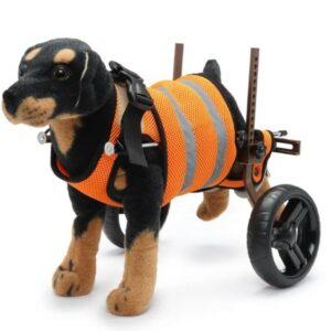  - Dog Wheelchairs For Disabled Dogs