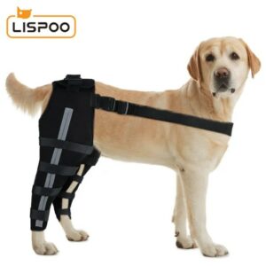  - Dog Acl Braces Fix Joint Damage Knee Braces for Dogs