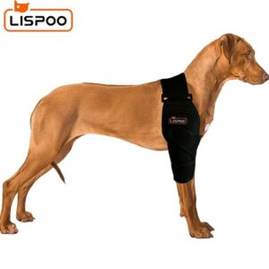  - LISPOO Dog Elbow Braces For Offers Elbow Support And Protection