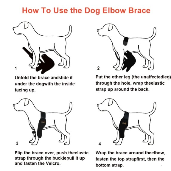  - Dog Elbow Support For Elbow Arthritis