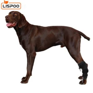  - LISPOO Rear No Knuckling Training Sock For Dogs