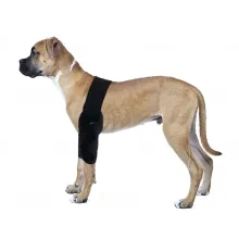  - Dog Double Elbow & Shoulder Brace