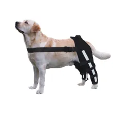  - Dogs Wheelchairs - Best Dogs Wheelchairs Suppliers & manufacturers in China
