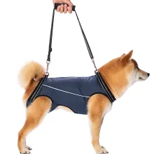 - A full body harness for lifting dogs
