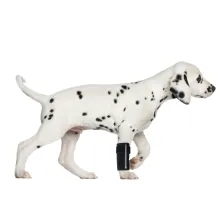  - Dog Carpal Brace with Extra Support